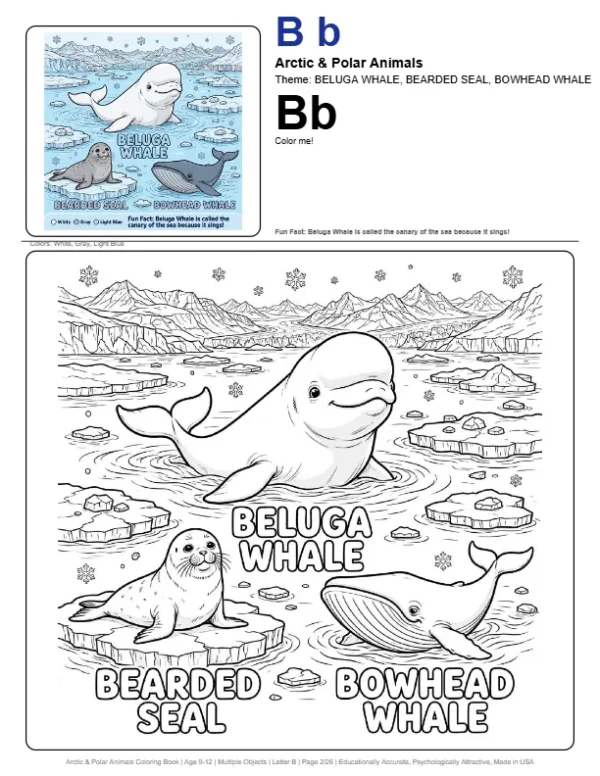 Kids Color Pages Beluga Whale - Letter B Coloring Page