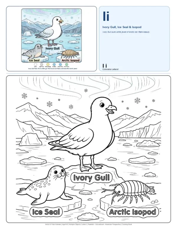 Kids Free Coloring Pages Ivory Gull - Letter I Coloring Page