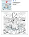 Numbers Coloring Pages Ringed Seal - Letter R Coloring Page