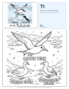 Pattern Animal Coloring Pages - Letter T Coloring Page