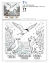 Pattern Color Page Animal - Letter T Coloring Page