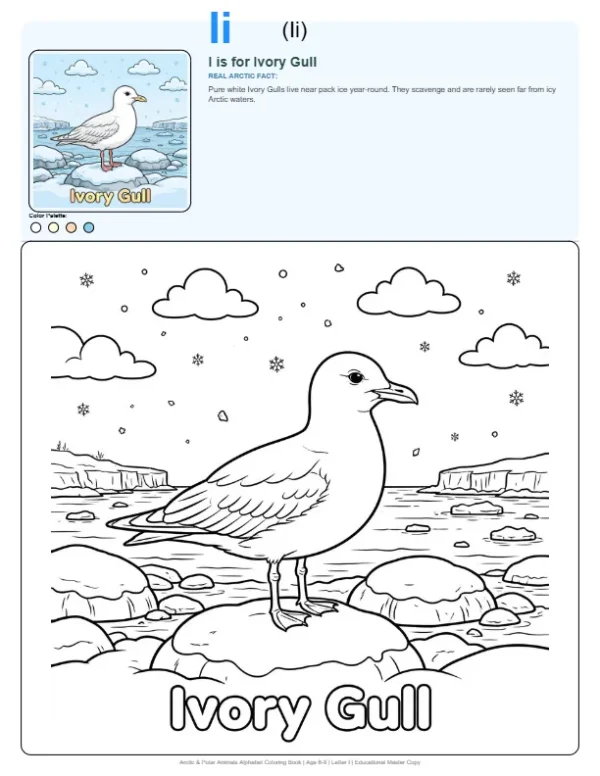 Preschool Coloring Pages Ivory Gull - Letter I Coloring Page