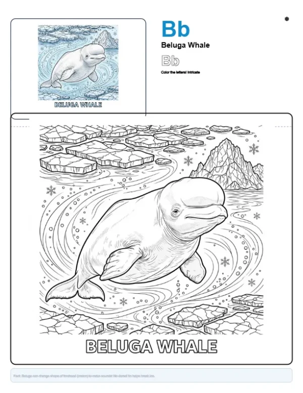 Printable Coloring Pages For Girls Beluga Whale - Letter B Coloring Page