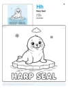 Printable Harp Seal Coloring Pages - Letter H Coloring Page