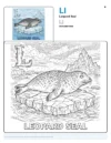Seal Cartoon For Colouring - Letter L Coloring Page