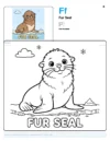 Seal Coloring Pages - Letter F Coloring Page