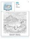 Seal Colouring Pages - Letter H Coloring Page