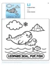 Seal Pictures To Color - Letter L Coloring Page