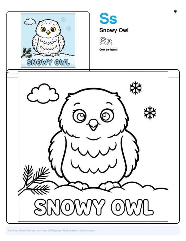 Snowy Owl Coloring Page - Letter S Coloring Page
