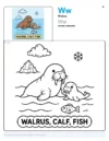 Walrus Coloring Page - Letter W Coloring Page