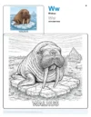 Walrus Coloring Pages For Kids - Letter W Coloring Page