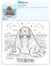 Walrus Coloring Pages Print - Letter W Coloring Page