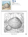 Word Coloring Pages Quahog - Letter Q Coloring Page