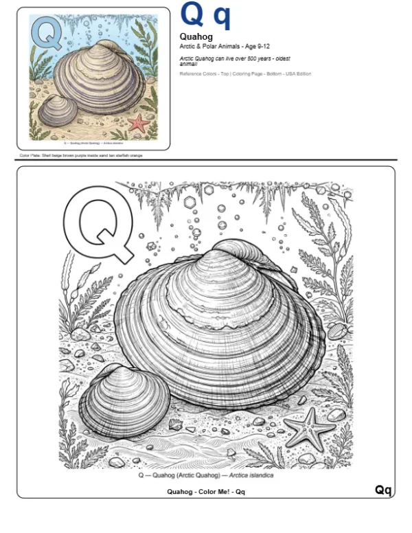 Word Coloring Pages Quahog - Letter Q Coloring Page