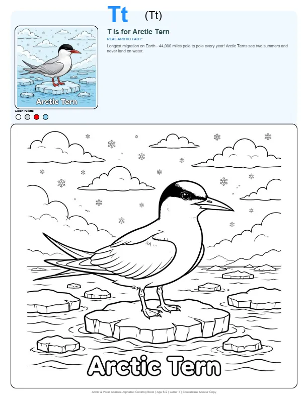 Arctic Tern Coloring Page – Letter T Coloring Page