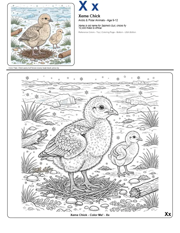 Coloring Pages For Kids Free Xeme Chick – Letter X Coloring Page