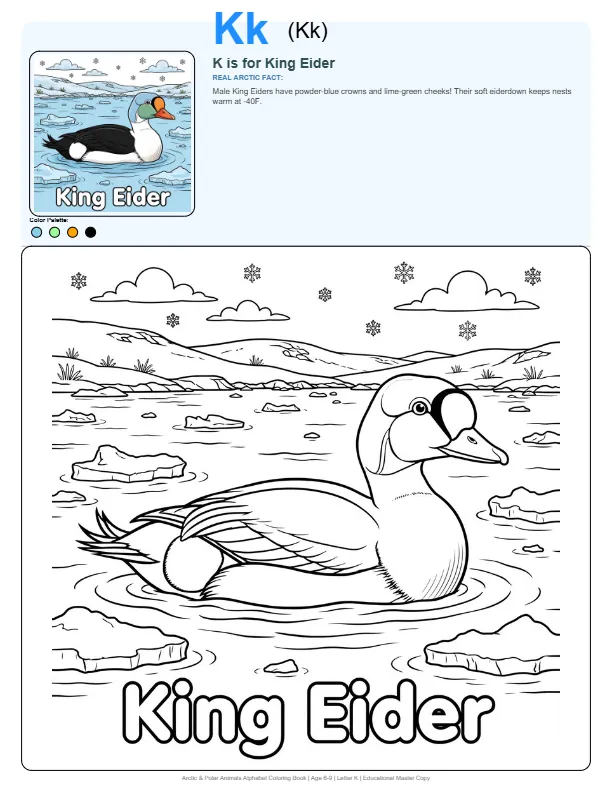 Coloring Pages To Print King Eider – Letter K Coloring Page
