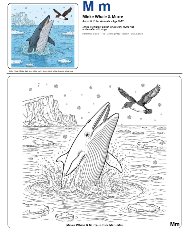 Coloring Sheets For Boys Minke Whale – Letter M Coloring Page