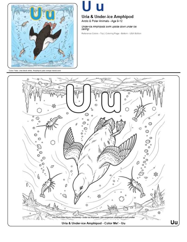 Colouring Pages To Print Uria – Letter U Coloring Page
