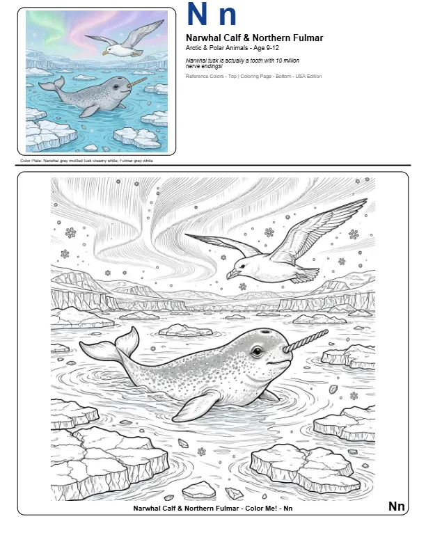 Cool Coloring Pages For Adults Narwhal – Letter N Coloring Page