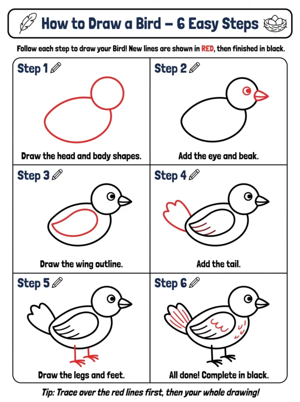 birds drawing cute pictures to draw
