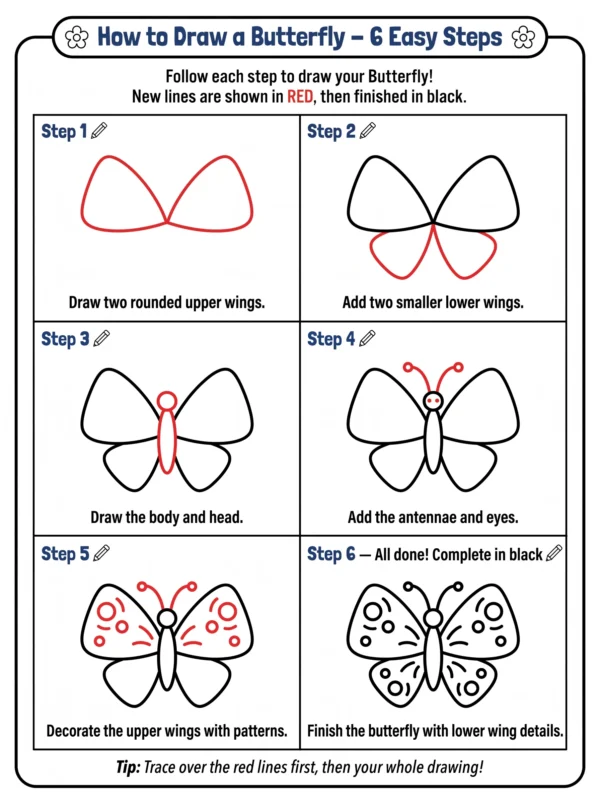 butterfly drawing cute animal drawing