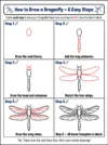 dragonfly drawing cute animal drawing