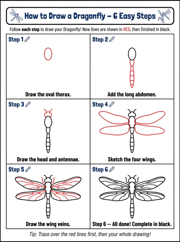 dragonfly drawing cute animal drawing