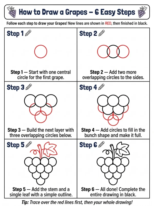 grapes drawing how to draw step by step grapes drawing how to draw step by step